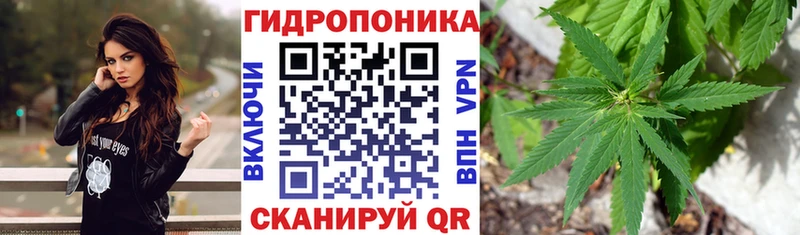 Названия наркотиков Богданович Бошки Шишки APVP Псилоцибиновые грибы МЕФ Амфетамин