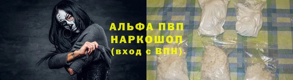 ПСИЛОЦИБИНОВЫЕ ГРИБЫ Билибино
