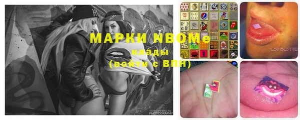 ПСИЛОЦИБИНОВЫЕ ГРИБЫ Билибино
