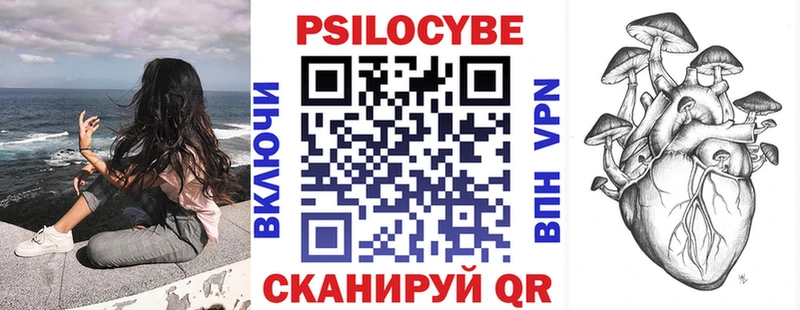 где найти   Богданович  Галлюциногенные грибы Magic Shrooms 