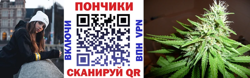 Бошки Шишки план  гидра ONION  Богданович 